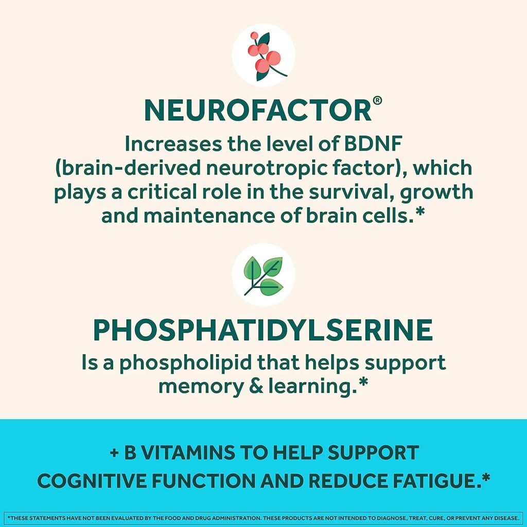 vitamin B and nootropics